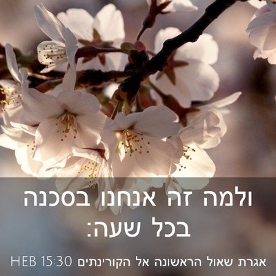 Picture 03 - אגרת שאול הראשונה אל הקורינתים 15:30 HEB - ולמה זה אנחנו בסכנה בכל - Bible Verse Picture