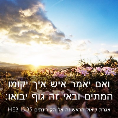 Picture 03 - אגרת שאול הראשונה אל הקורינתים 15:35 HEB - ואם יאמר איש איך יקומו - Bible Verse Picture