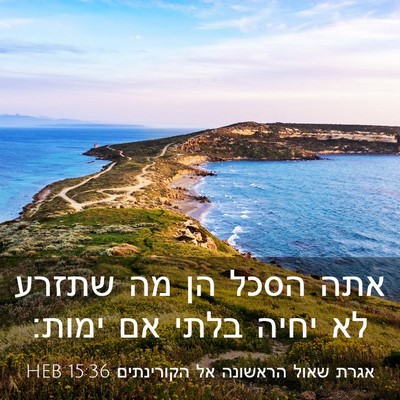 Picture 03 - אגרת שאול הראשונה אל הקורינתים 15:36 HEB - אתה הסכל הן מה שתזרע לא - Bible Verse Picture