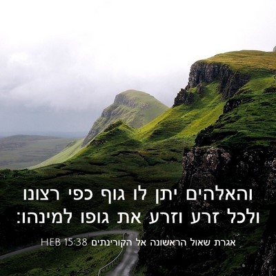 Picture 03 - אגרת שאול הראשונה אל הקורינתים 15:38 HEB - והאלהים יתן לו גוף כפי - Bible Verse Picture