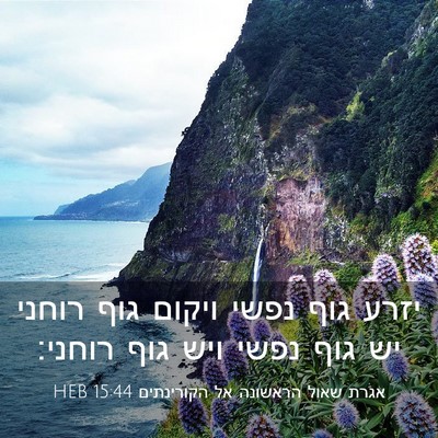 Picture 03 - אגרת שאול הראשונה אל הקורינתים 15:44 HEB - יזרע גוף נפשי ויקום גוף - Bible Verse Picture