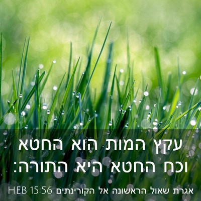 Picture 03 - אגרת שאול הראשונה אל הקורינתים 15:56 HEB - עקץ המות הוא החטא וכח החטא - Bible Verse Picture