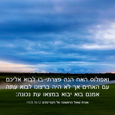 Picture 03 - אגרת שאול הראשונה אל הקורינתים 16:12 HEB - ואפולוס האח הנה פצרתי בו - Bible Verse Picture