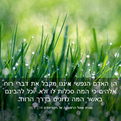 Picture 03 - אגרת שאול הראשונה אל הקורינתים 2:14 HEB - הן האדם הנפשי איננו מקבל את - Bible Verse Picture