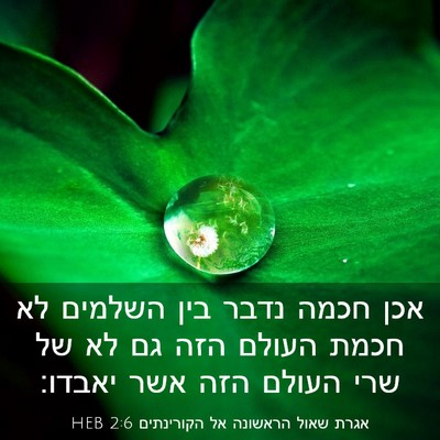 Picture 03 - אגרת שאול הראשונה אל הקורינתים 2:6 HEB - אכן חכמה נדבר בין השלמים לא - Bible Verse Picture