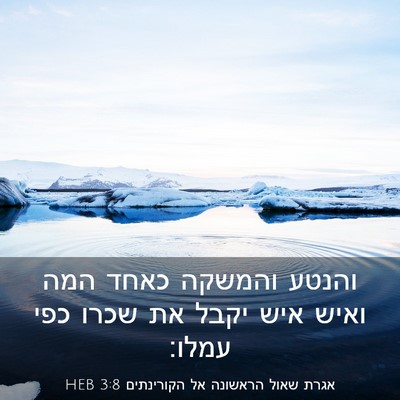 Picture 03 - אגרת שאול הראשונה אל הקורינתים 3:8 HEB - והנטע והמשקה כאחד המה ואיש - Bible Verse Picture