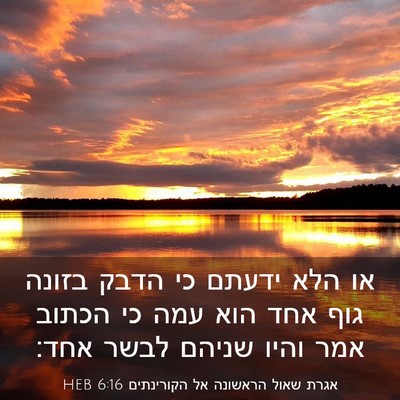 Picture 03 - אגרת שאול הראשונה אל הקורינתים 6:16 HEB - או הלא ידעתם כי הדבק בזונה - Bible Verse Picture