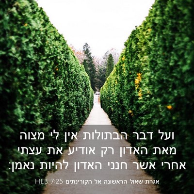 Picture 03 - אגרת שאול הראשונה אל הקורינתים 7:25 HEB - ועל דבר הבתולות אין לי מצוה - Bible Verse Picture