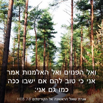 Picture 03 - אגרת שאול הראשונה אל הקורינתים 7:8 HEB - ואל הפנוים ואל האלמנות אמר - Bible Verse Picture