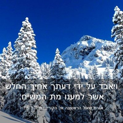 Picture 03 - אגרת שאול הראשונה אל הקורינתים 8:11 HEB - ויאבד על ידי דעתך אחיך החלש - Bible Verse Picture