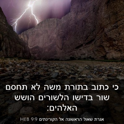 Picture 03 - אגרת שאול הראשונה אל הקורינתים 9:9 HEB - כי כתוב בתורת משה לא תחסם - Bible Verse Picture