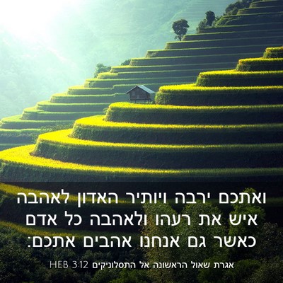 Picture 03 - אגרת שאול הראשונה אל התסלוניקים 3:12 HEB - ואתכם ירבה ויותיר האדון - Bible Verse Picture