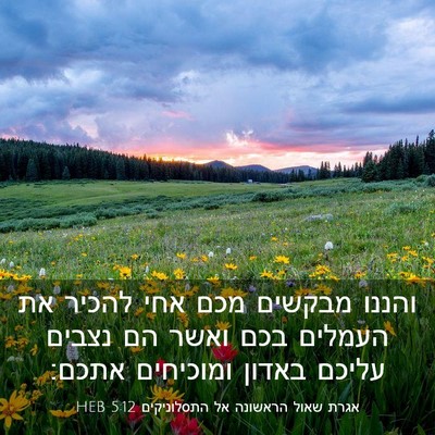 Picture 03 - אגרת שאול הראשונה אל התסלוניקים 5:12 HEB - והננו מבקשים מכם אחי להכיר - Bible Verse Picture