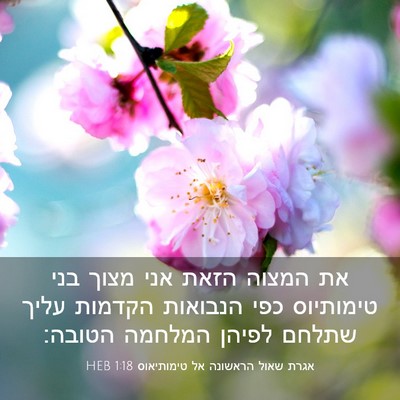 Picture 03 - אגרת שאול הראשונה אל טימותיאוס 1:18 HEB - את המצוה הזאת אני מצוך בני - Bible Verse Picture