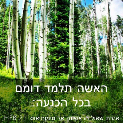 Picture 03 - אגרת שאול הראשונה אל טימותיאוס 2:11 HEB - האשה תלמד דומם בכל - Bible Verse Picture