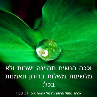 Picture 03 - אגרת שאול הראשונה אל טימותיאוס 3:11 HEB - וככה הנשים תהיינה ישרות - Bible Verse Picture