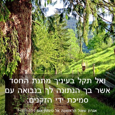 Picture 03 - אגרת שאול הראשונה אל טימותיאוס 4:14 HEB - ואל תקל בעיניך מתנת החסד - Bible Verse Picture