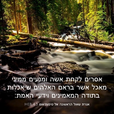 Picture 03 - אגרת שאול הראשונה אל טימותיאוס 4:3 HEB - אסרים לקחת אשה ומנעים - Bible Verse Picture