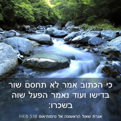 Picture 03 - אגרת שאול הראשונה אל טימותיאוס 5:18 HEB - כי הכתוב אמר לא תחסם שור - Bible Verse Picture