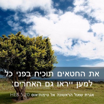 Picture 03 - אגרת שאול הראשונה אל טימותיאוס 5:20 HEB - את החטאים תוכיח בפני כל - Bible Verse Picture