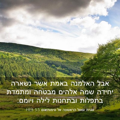 Picture 03 - אגרת שאול הראשונה אל טימותיאוס 5:5 HEB - אבל האלמנה באמת אשר נשארה - Bible Verse Picture