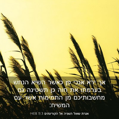 Picture 03 - אגרת שאול השניה אל הקורינתים 11:3 HEB - אך ירא אנכי פן כאשר השיא - Bible Verse Picture