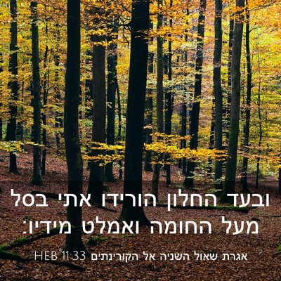 Picture 03 - אגרת שאול השניה אל הקורינתים 11:33 HEB - ובעד החלון הורידו אתי בסל - Bible Verse Picture