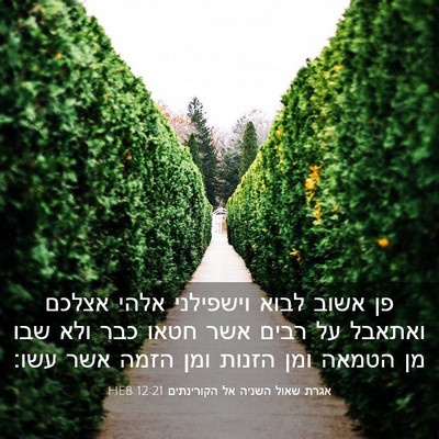 Picture 03 - אגרת שאול השניה אל הקורינתים 12:21 HEB - פן אשוב לבוא וישפילני אלהי - Bible Verse Picture