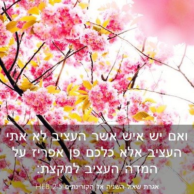 Picture 03 - אגרת שאול השניה אל הקורינתים 2:5 HEB - ואם יש איש אשר העציב לא אתי - Bible Verse Picture