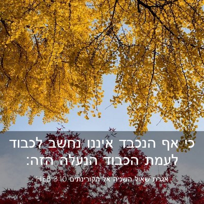 Picture 03 - אגרת שאול השניה אל הקורינתים 3:10 HEB - כי אף הנכבד איננו נחשב - Bible Verse Picture