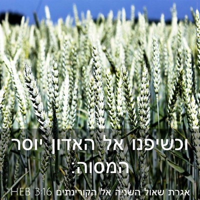 Picture 03 - אגרת שאול השניה אל הקורינתים 3:16 HEB - וכשיפנו אל האדון יוסר - Bible Verse Picture