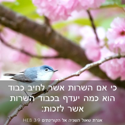 Picture 03 - אגרת שאול השניה אל הקורינתים 3:9 HEB - כי אם השרות אשר לחיב כבוד - Bible Verse Picture