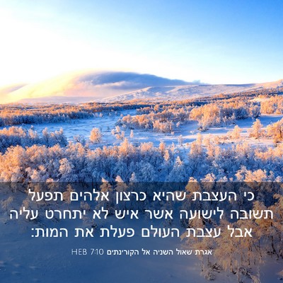 Picture 03 - אגרת שאול השניה אל הקורינתים 7:10 HEB - כי העצבת שהיא כרצון אלהים - Bible Verse Picture