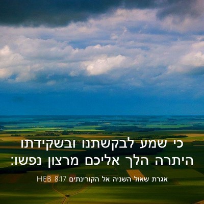 Picture 03 - אגרת שאול השניה אל הקורינתים 8:17 HEB - כי שמע לבקשתנו ובשקידתו - Bible Verse Picture
