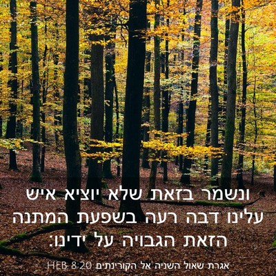Picture 03 - אגרת שאול השניה אל הקורינתים 8:20 HEB - ונשמר בזאת שלא יוציא איש - Bible Verse Picture