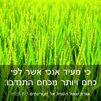 Picture 03 - אגרת שאול השניה אל הקורינתים 8:3 HEB - כי מעיד אנכי אשר לפי כחם - Bible Verse Picture