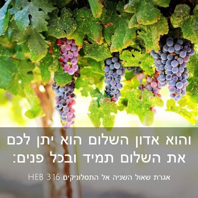 Picture 03 - אגרת שאול השניה אל התסלוניקים 3:16 HEB - והוא אדון השלום הוא יתן לכם - Bible Verse Picture