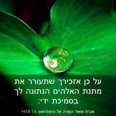 Picture 03 - אגרת שאול השניה אל טימותיאוס 1:6 HEB - על כן אזכירך שתעורר את מתנת - Bible Verse Picture