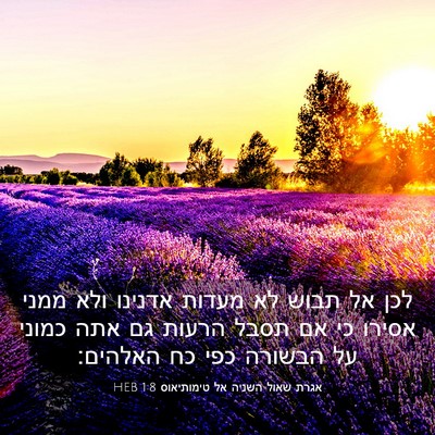 Picture 03 - אגרת שאול השניה אל טימותיאוס 1:8 HEB - לכן אל תבוש לא מעדות אדנינו - Bible Verse Picture