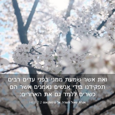 Picture 03 - אגרת שאול השניה אל טימותיאוס 2:2 HEB - ואת אשר שמעת ממני בפני עדים - Bible Verse Picture