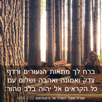 Picture 03 - אגרת שאול השניה אל טימותיאוס 2:22 HEB - ברח לך מתאות הנעורים ורדף - Bible Verse Picture