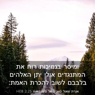 Picture 03 - אגרת שאול השניה אל טימותיאוס 2:25 HEB - ומיסר בנמיכות רוח את - Bible Verse Picture