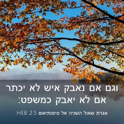 Picture 03 - אגרת שאול השניה אל טימותיאוס 2:5 HEB - וגם אם נאבק איש לא יכתר אם - Bible Verse Picture