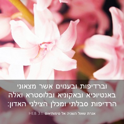 Picture 03 - אגרת שאול השניה אל טימותיאוס 3:11 HEB - וברדיפות ובענוים אשר - Bible Verse Picture