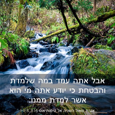 Picture 03 - אגרת שאול השניה אל טימותיאוס 3:14 HEB - אבל אתה עמד במה שלמדת - Bible Verse Picture