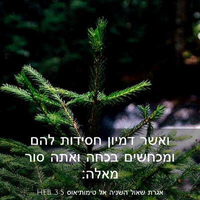 Picture 03 - אגרת שאול השניה אל טימותיאוס 3:5 HEB - ואשר דמיון חסידות להם - Bible Verse Picture