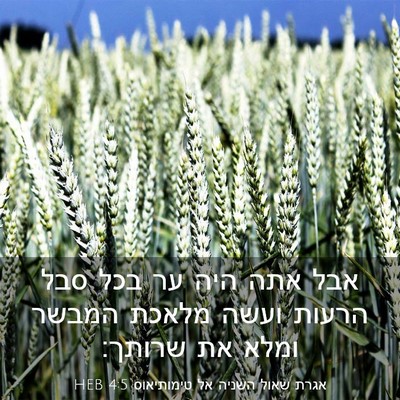 Picture 03 - אגרת שאול השניה אל טימותיאוס 4:5 HEB - אבל אתה היה ער בכל סבל - Bible Verse Picture
