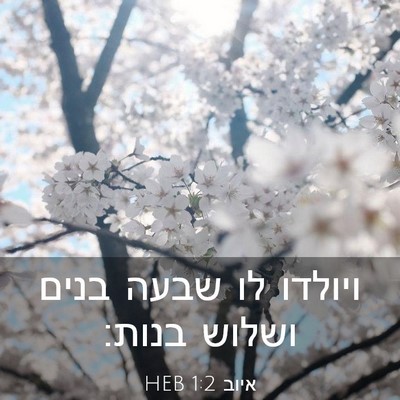 Picture 03 - איוב 1:2 HEB - ויולדו לו שבעה בנים ושלוש - Bible Verse Picture