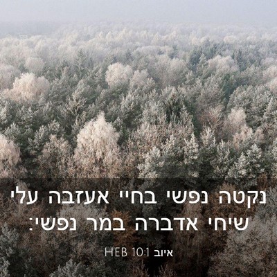 Picture 03 - איוב 10:1 HEB - נקטה נפשי בחיי אעזבה עלי - Bible Verse Picture