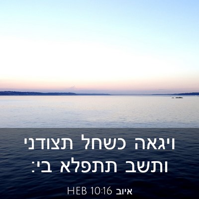 Picture 03 - איוב 10:16 HEB - ויגאה כשחל תצודני ותשב - Bible Verse Picture
